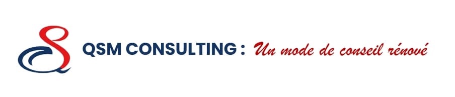 QSM Consulting Logo